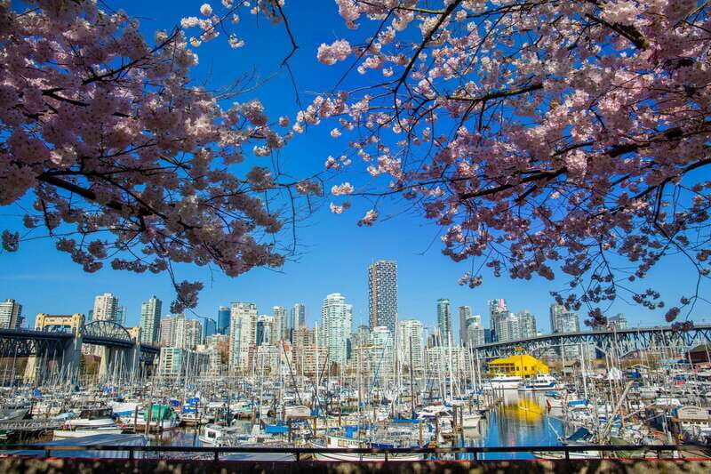 Vancouver: 24 or 48-Hour Hop-On Hop-Off Trolley Tour Pass - Stops you’ll actually use: from Canada Place to Gastown