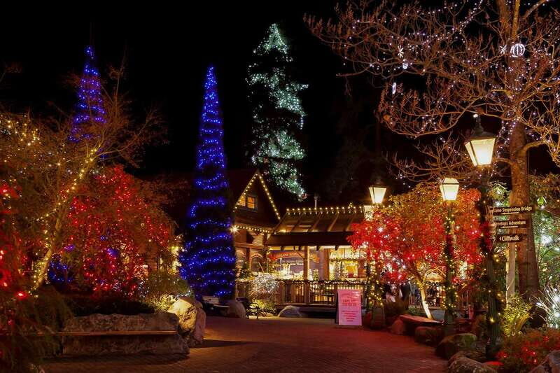 Vancouver and Capilano Suspension Bridge Canyon Lights - Stanley Park: the urban rainforest moment you’ll actually feel