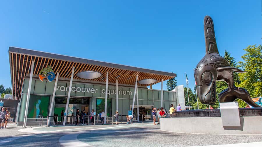 Vancouver Aquarium: Skip-the-Line Ticket - Skip-the-Line Ticket: what you’re really paying for