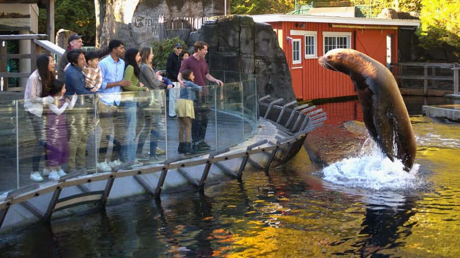 Vancouver Aquarium: Skip-the-Line Ticket - Wet Lab: hands-on learning without turning into a classroom