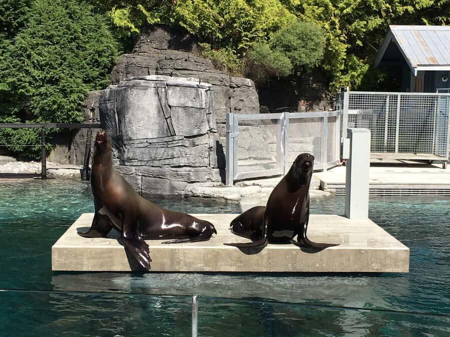 Vancouver Aquarium: Skip-the-Line Ticket - How long to plan: 2 to 4 hours that still feels unhurried