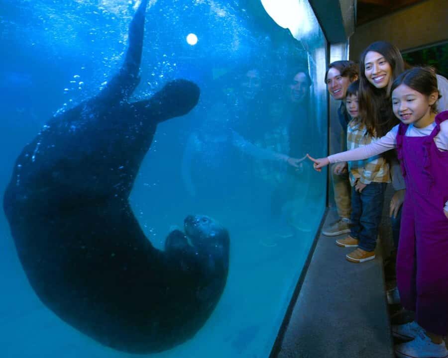 Vancouver Aquarium: Skip-the-Line Ticket - Price and value: is $37 a good deal for a one-day visit?
