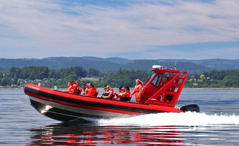 Vancouver, BC: Whale Watching Tour Small Zodiac with Guide - The Zodiac Ride: Small Boat Energy on the Strait of Georgia