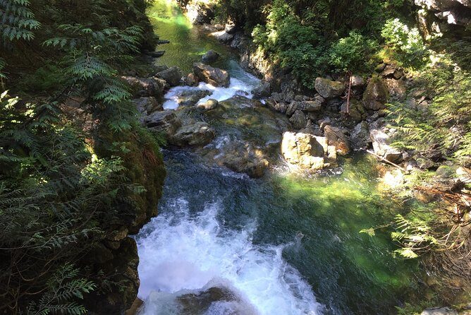 Vancouver Biking and Hiking Tour including Lunch - The lunch break: farm food and a real reset