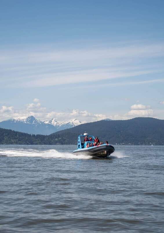 Vancouver: Boat to Bowen Island on UNESCO Howe Sound Fjord - Two seal colony stops: the best kind of wildlife watching