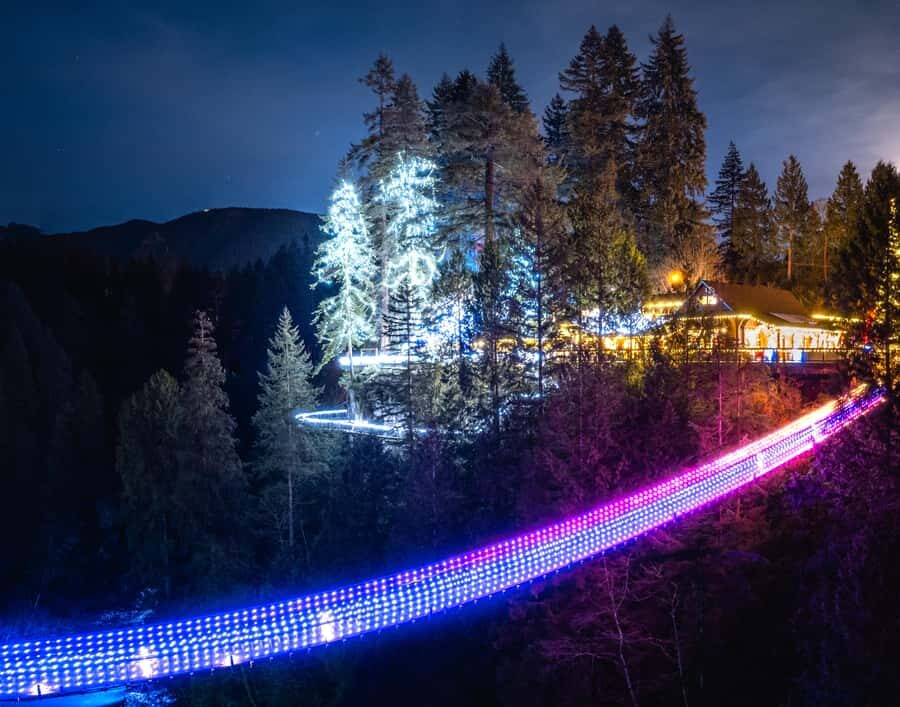Vancouver: Capilano Bridge, Cleveland Dam & Lynn Canyon Tour - Key highlights worth planning for