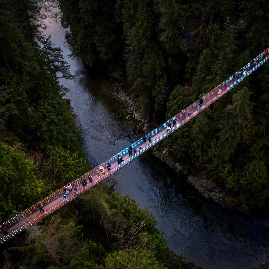 Vancouver: Capilano Bridge, Cleveland Dam & Lynn Canyon Tour - A North Shore day built around bridges, rainforest, and salmon