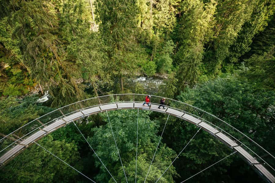 Vancouver: Capilano Bridge, Cleveland Dam & Lynn Canyon Tour - Lynn Canyon Park: temperate rainforest walking and a swaying suspension bridge