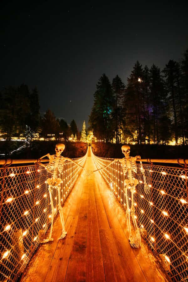 Vancouver: Capilano Bridge, Cleveland Dam & Lynn Canyon Tour - Capilano Suspension Bridge Park: the 137-metre adrenaline moment