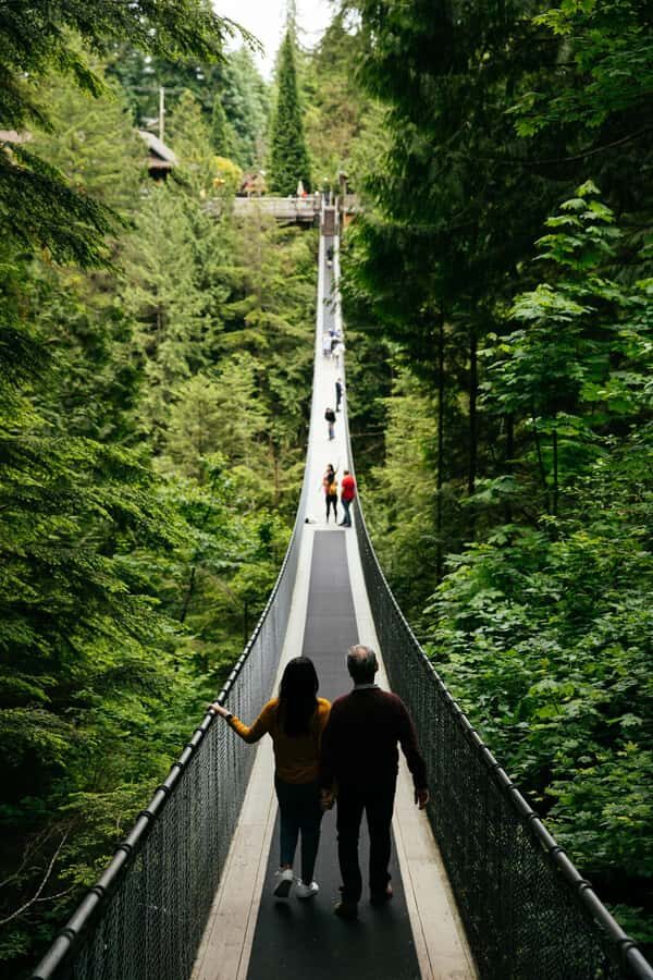Vancouver: Capilano Bridge, Cleveland Dam & Lynn Canyon Tour - Stanley Park finish: totem poles, seawall time, and harbor viewpoints