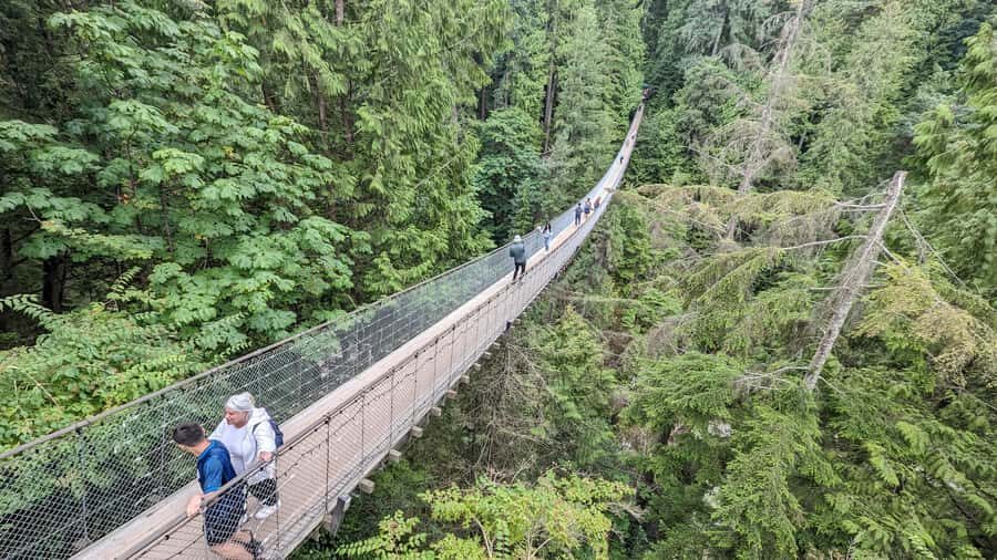 Vancouver: Capilano Bridge, Cleveland Dam & Lynn Canyon Tour - How the small-group setup changes your day