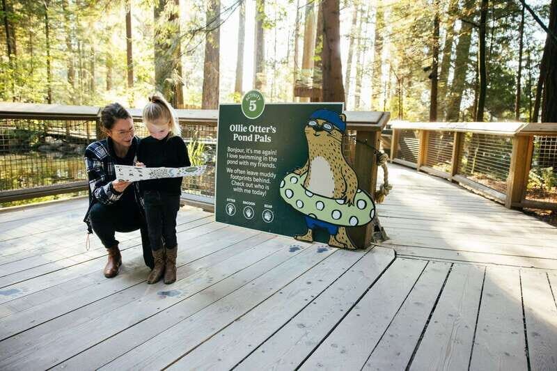 Vancouver: Capilano Suspension Bridge Park Ticket - Where to eat, snack, and refuel during your visit