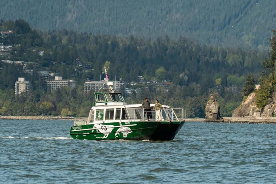 Vancouver: Catamaran Whale Watching Tour, Granville Island - Key things you’ll notice right away