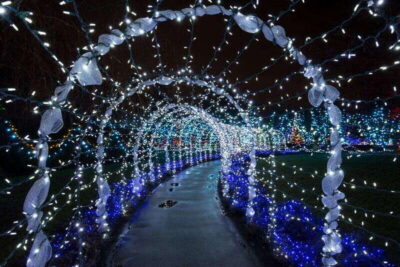 Vancouver Christmas Lights Karaoke Trolley Tour - Transport Reality Check: Enclosed Trolley/Buses in Cold Weather