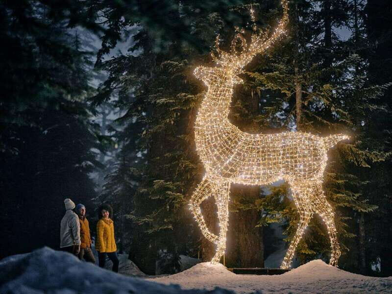 Vancouver Christmas Lights Karaoke Trolley Tour - Stanley Park Bright Nights: Iconic Lights in About 20 Minutes