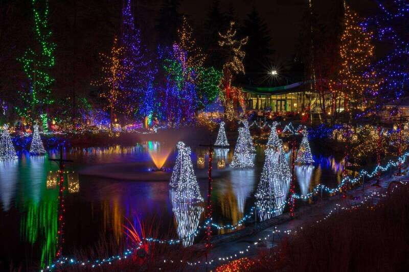 Vancouver Christmas Lights Karaoke Trolley Tour - VanDusen Botanical Garden (1 Hour Included): The Main Event