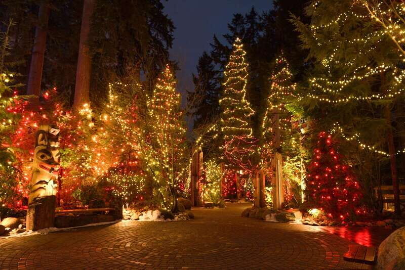Vancouver: Christmas Lights Karaoke Trolley Tour - Price and Value: What $52 Gets You in Real Terms