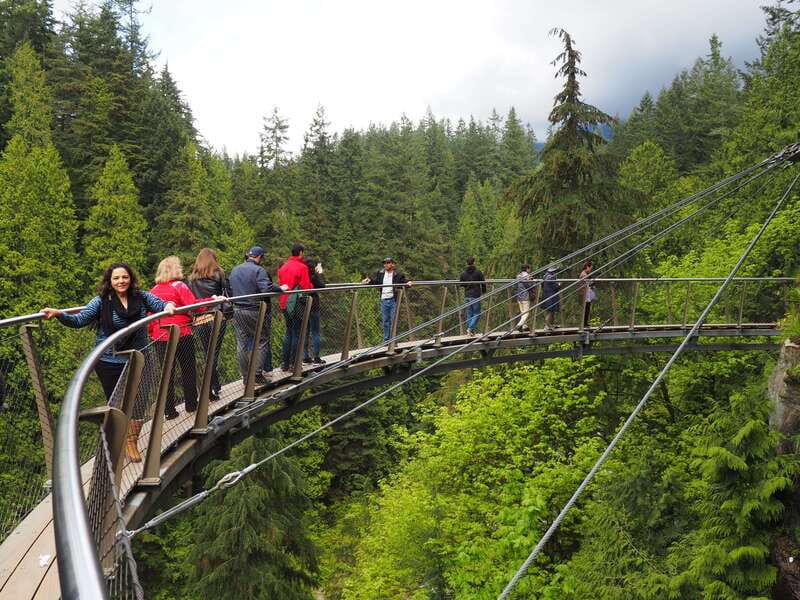Vancouver City and Capilano Park Private Tour - The 8-Hour Route That Connects Downtown to Capilano