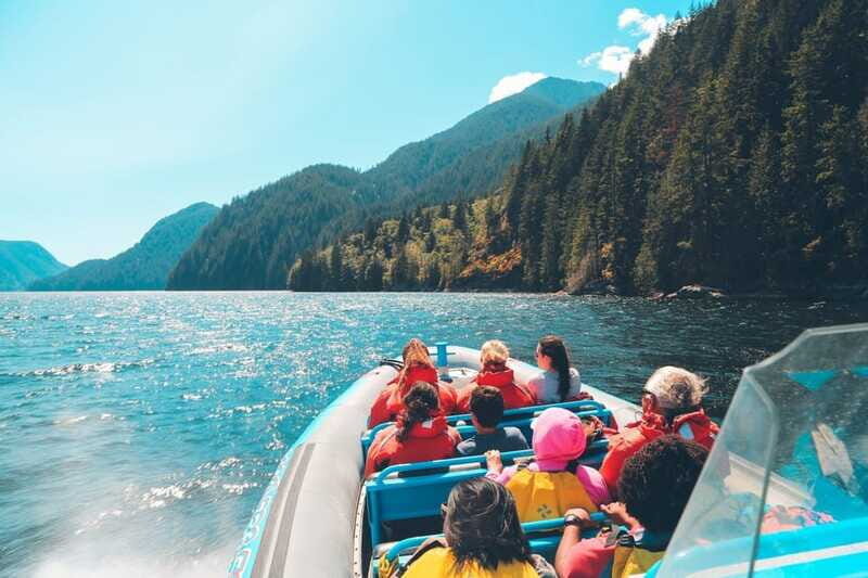 Vancouver: City and Seal Boat Tour - Lighthouse Park and the Seal Colony: the wildlife payoff