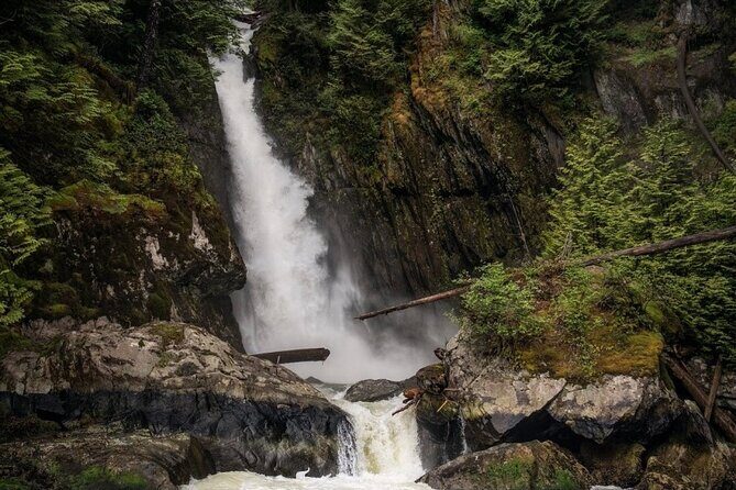 Vancouver City and Waterfall Waterfront Sightseeing Boat Tour - Why This Zodiac Tour Gives You Vancouver’s Water-View Fast