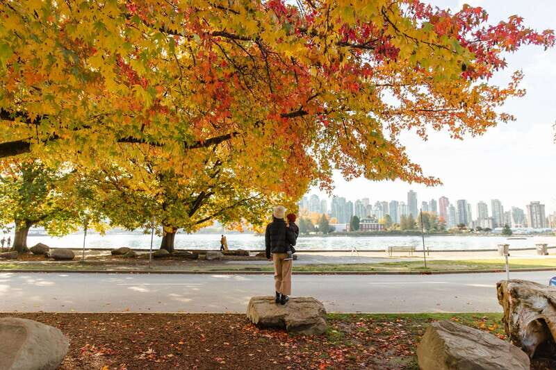 Vancouver: City & Granville Island Sightseeing Trolley Tour - English Bay and the West End: Coastline Without the Stress