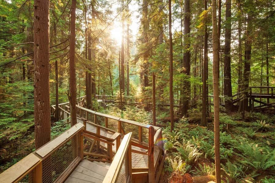Vancouver: City Highlights Bus Tour - Pickup points and how the morning flow works
