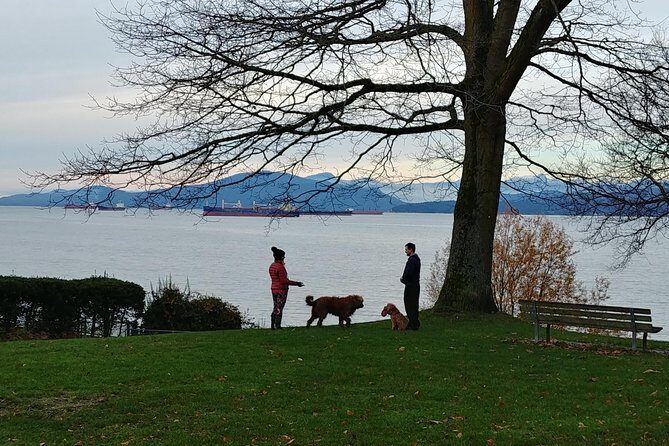Vancouver City Highlights Explorer Private Tour - Queen Elizabeth Park: Quarry Gardens, fountains, and a city-and-North-Shore view