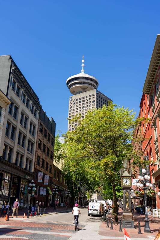 Vancouver: City Sightseeing Bus & Boat Tour - City & Seals Zodiac Boat Tour: Marine Life Right Offshore