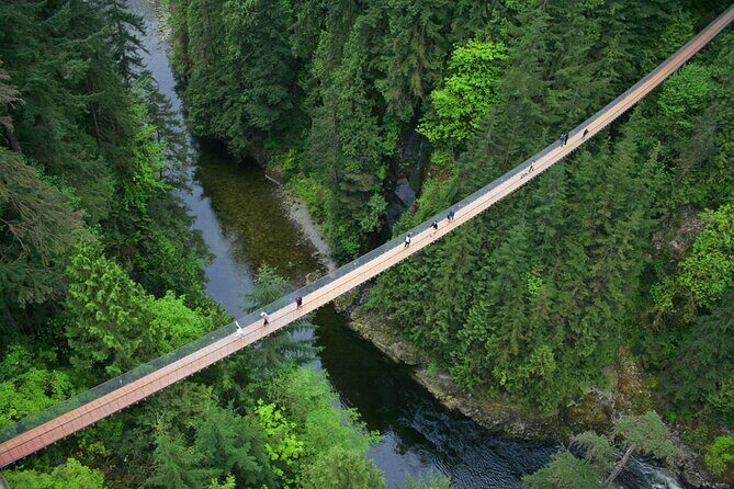 Vancouver City Sightseeing Tour: Capilano Suspension Bridge & Vancouver Lookout - A One-Day Route That Makes Vancouver Make Sense