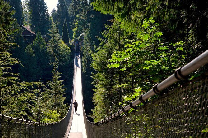 Vancouver City Sightseeing Tour: Capilano Suspension Bridge & Vancouver Lookout - Capilano Suspension Bridge Park: The Day’s Big Physical and Visual Payoff