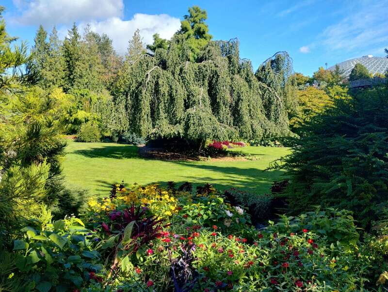 Vancouver City Tour: The Only Full Small-Group Car Tour - Why This Vancouver Car Tour Feels Smarter Than Hop-On Buses