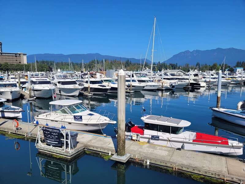 Vancouver City Tour: The Only Full Small-Group Car Tour - Downtown Moments: Gastown Steam Clock and Chinatown Area Sights