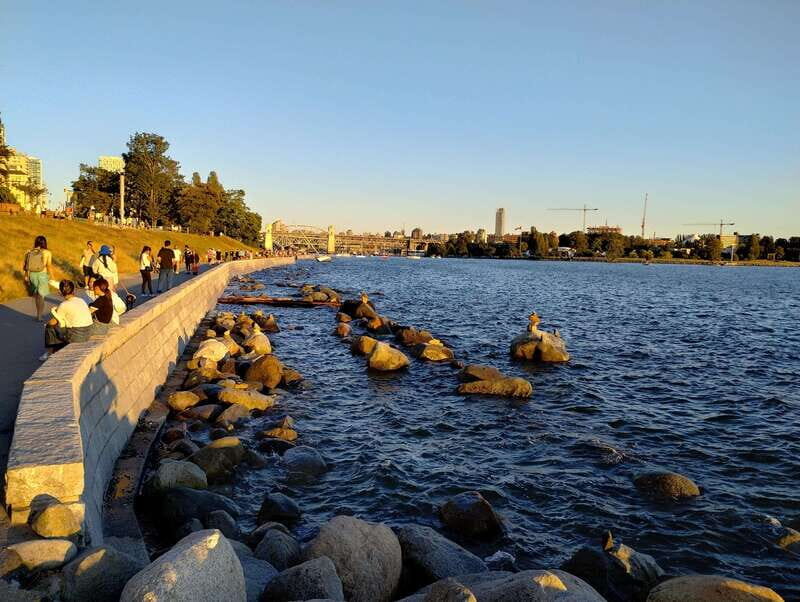 Vancouver City Tour: The Only Full Small-Group Car Tour - The Hollow Tree and Stanley Park Scenic Loop: A Forest Stop That Resets Your Eyes
