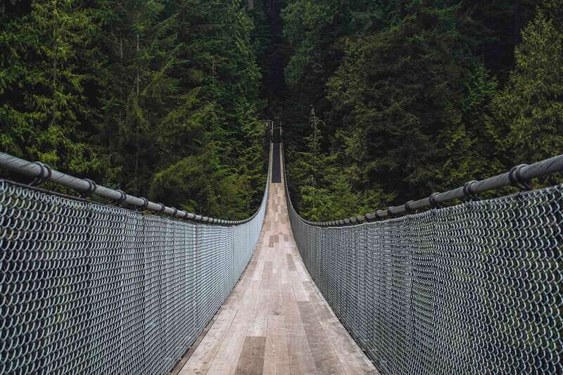 Vancouver: City Tour with Capilano Suspension Bridge - Gastown and Chinatown: fast, guided, and actually useful