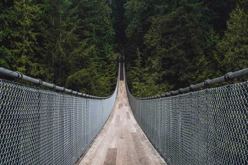 Vancouver: City Tour with Capilano Suspension Bridge - North Shore mountain air: Grouse Mountain and animal encounters