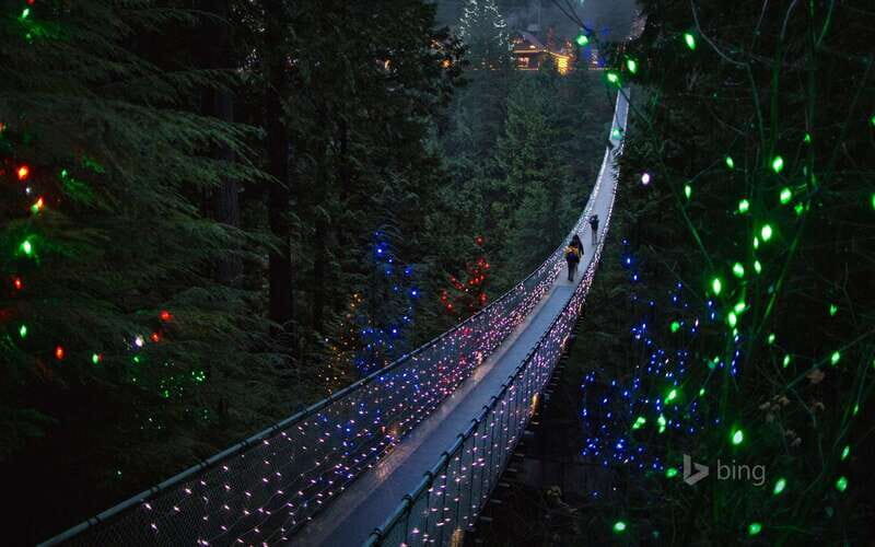 Vancouver: City Tour with Capilano Suspension Bridge - Getting rolling at 10am: pickup and the Stanley Park time window