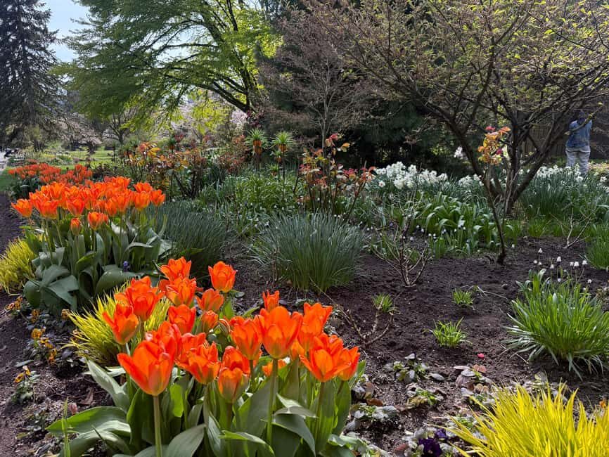 Vancouver City Tour+VipCar+Stanley Park+ChinaTown/SmallGroup - Stanley Park: Totem Park to Seawall in one connected storyline