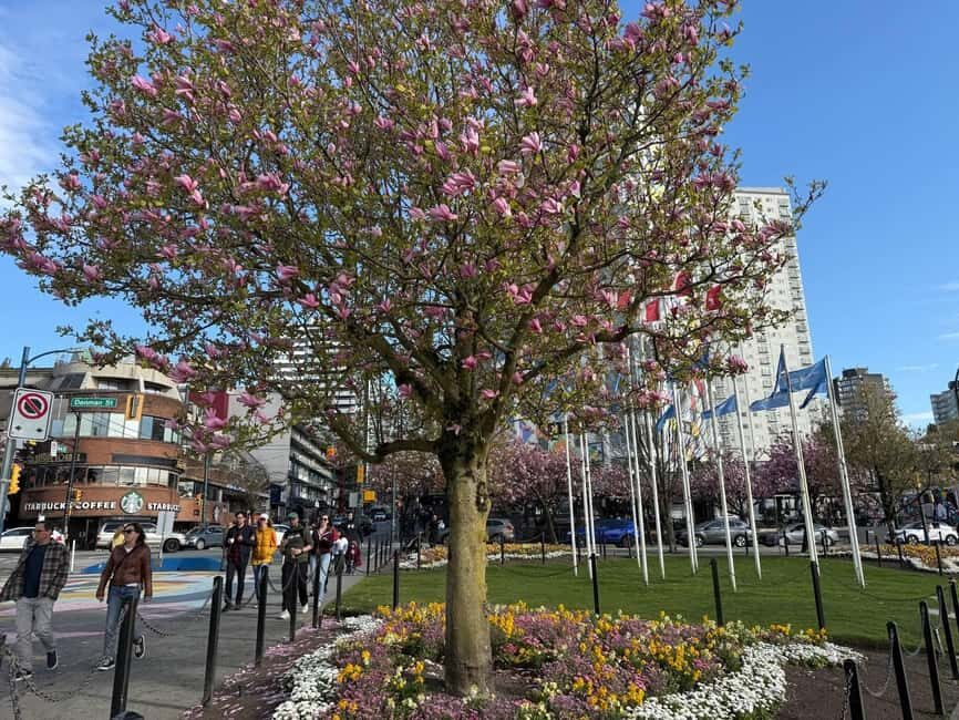 Vancouver City Tour+VipCar+Stanley Park+ChinaTown/SmallGroup - Coal Harbour to Canada Place: the harbor finale that makes the tour feel complete