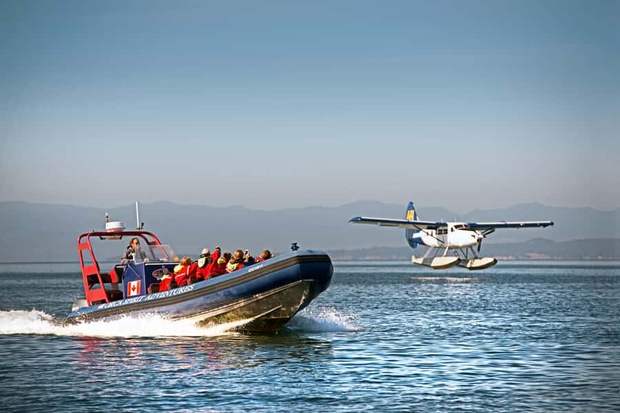 Vancouver: Day Trip to Victoria Seaplane with Whale Watching - Price and value: what $520 buys you