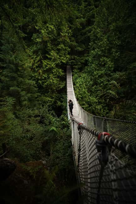 Vancouver: Guided Hiking Highlights at Grouse & Lynn Canyon - Key highlights you’ll actually feel