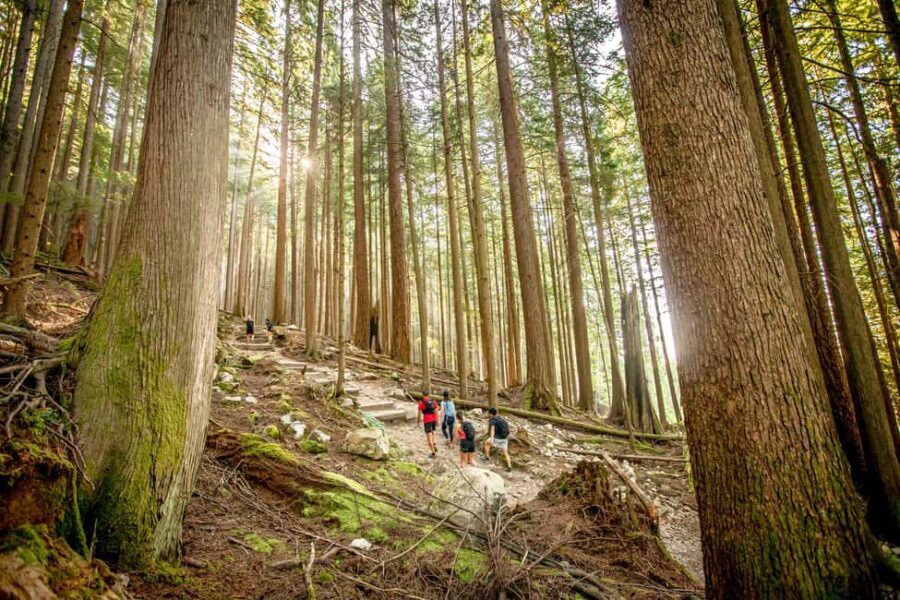 Vancouver: Guided Hiking Highlights at Grouse & Lynn Canyon - Starting in Downtown Vancouver: the route that keeps the day efficient