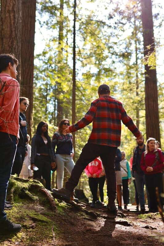 Vancouver: Guided Hiking Highlights at Grouse & Lynn Canyon - Price and value: what $130 covers and where you’ll spend extra