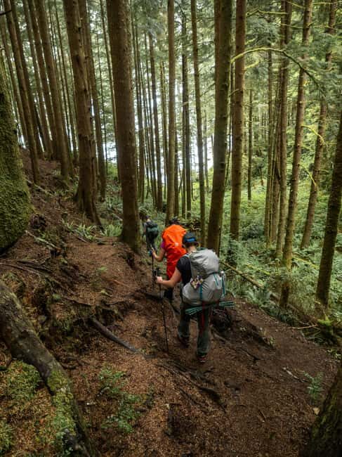 Vancouver: Guided Hiking Highlights at Grouse & Lynn Canyon - Stanley Park and Lions Gate: quick hits before the mountains take over