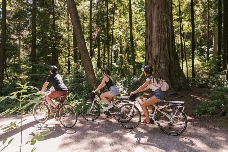 Vancouver: Half-Day City Highlights E-Bike Tour Age 16+ - Why this tour works so well for first-timers