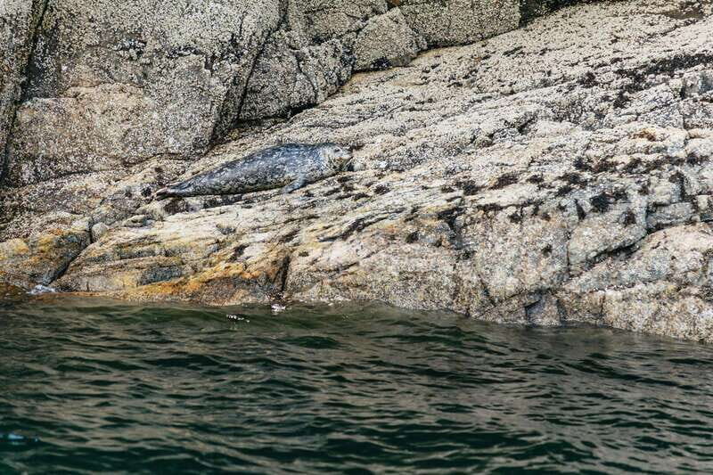 Vancouver: Indian Arm and Granite Falls Zodiac Boat Tour - Under the Lion’s Gate Bridge: Siwash Rock, waterfalls, and shipping-port stories