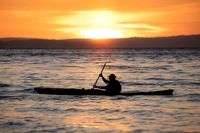 Vancouver Island: 2-Hour Evening Kayak Tour from Telegraph Cove - Key takeaways before you go