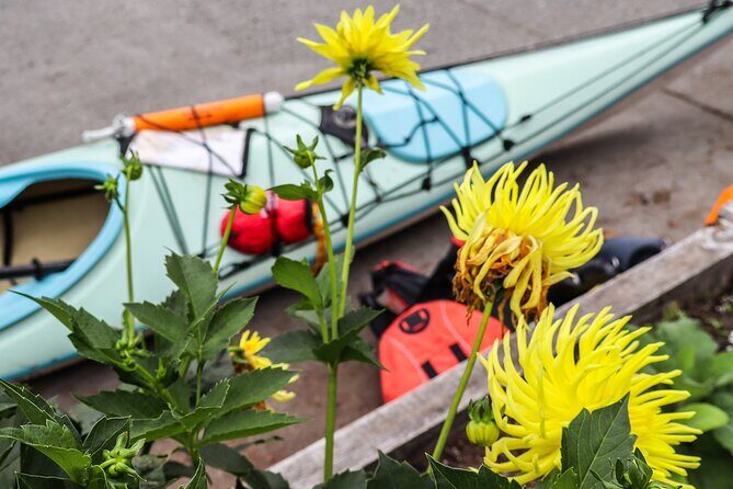 Vancouver Island: 2-Hour Evening Kayak Tour from Telegraph Cove - What’s included (and what you’ll need to bring)