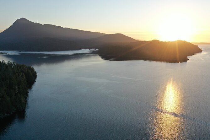 Vancouver Island: 2-Hour Evening Kayak Tour from Telegraph Cove - Small group pacing: how it feels on the water