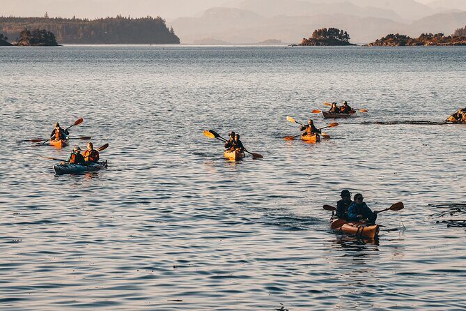 Vancouver Island: 2-Hour Evening Kayak Tour from Telegraph Cove - Price and value: is $80.17 worth it?