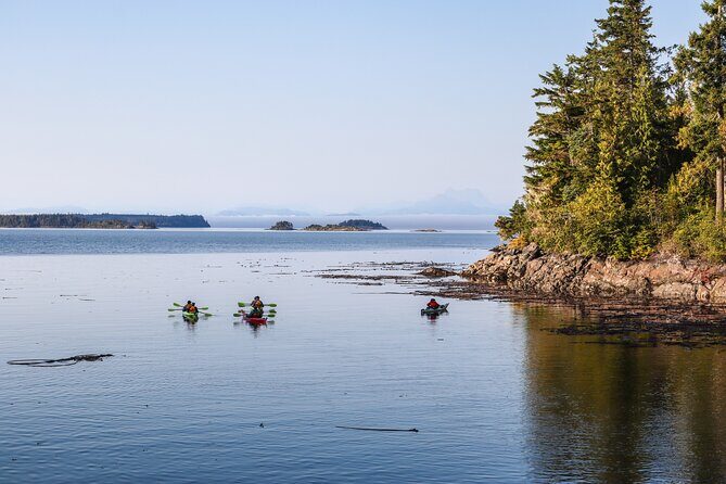 Vancouver Island: 2-Hour Evening Kayak Tour from Telegraph Cove - Weather reality in Telegraph Cove (and how to handle it)